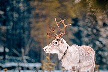 Winter-Auszeit im Sunday Morning Resort