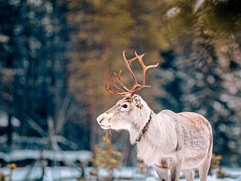 Winter-Auszeit im Sunday Morning Resort