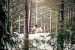 Winter-Auszeit im Sunday Morning Resort