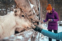 Winter-Auszeit im Sunday Morning Resort - Rentier
