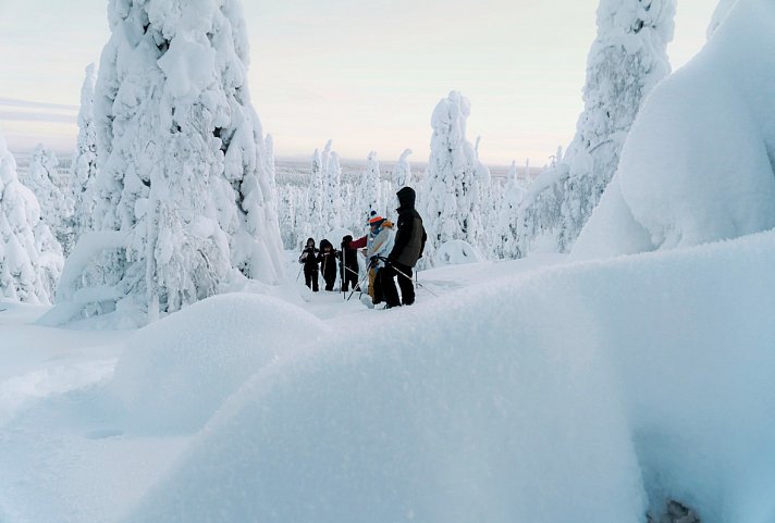 Winter-Faszination Finnland - Schneeschuhwanderung