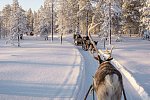 Winter-Faszination Finnland