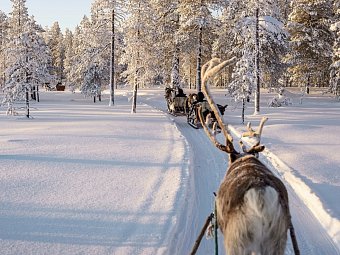 Winter-Faszination Finnland