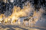 Winter-Faszination Finnland