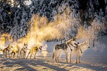 Winter-Faszination Finnland