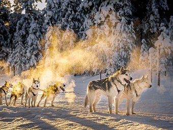 Winter-Faszination Finnland
