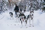 Polarkreismetropole Rovaniemi