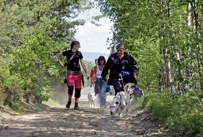 Erlebniswoche in Finnland - Huskywanderung