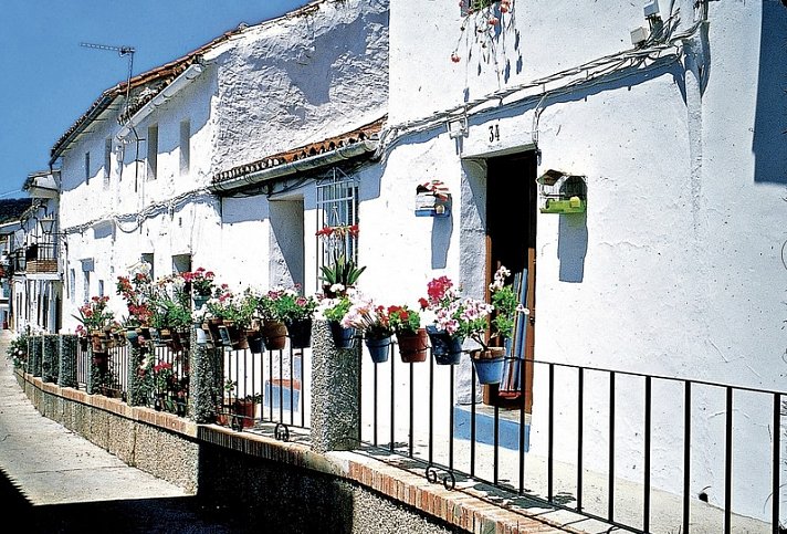 Wandern auf dem Jakobsweg – Die portugiesische Route an den Küsten