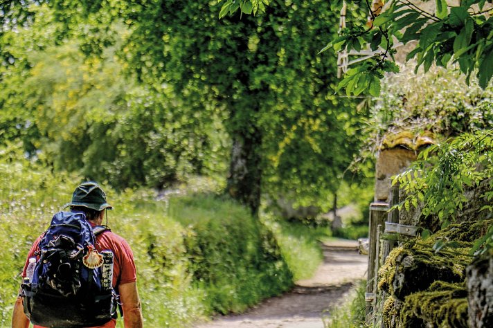 Wandern auf dem Jakobsweg – Die portugiesische Route an den Küsten