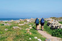Wandern auf dem Jakobsweg – Die portugiesische Route an der Küste intensiv