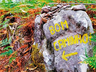 Wandern auf dem Jakobsweg – Die portugiesische Route an der Küste intensiv