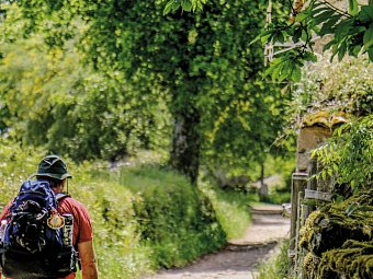 Wandern auf dem Jakobsweg – Die portugiesische Route an der Küste intensiv