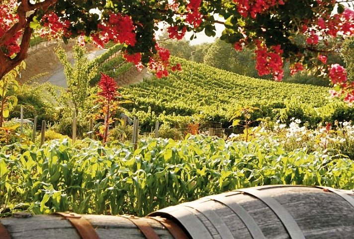 Naturschönheiten der Westküste - Sonoma