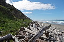 Naturschönheiten der Westküste - Olympic Nationalpark