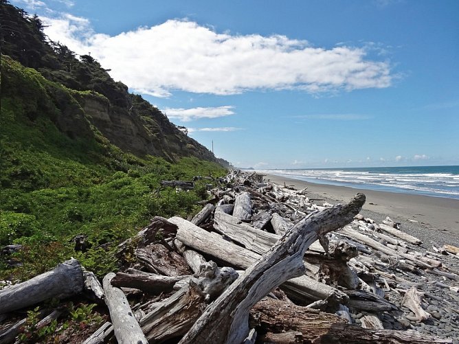 Naturschönheiten der Westküste - Olympic Nationalpark
