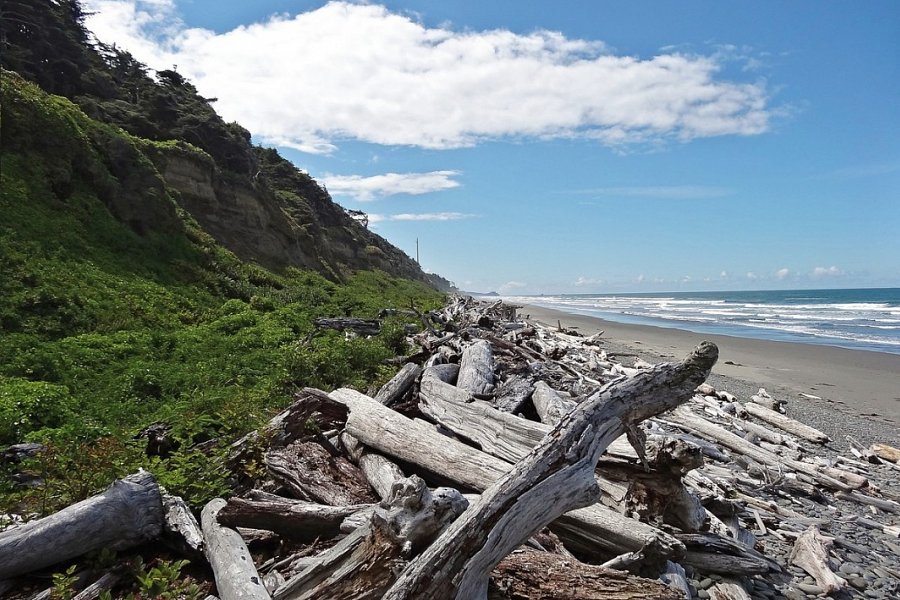 Naturschönheiten der Westküste - Olympic Nationalpark