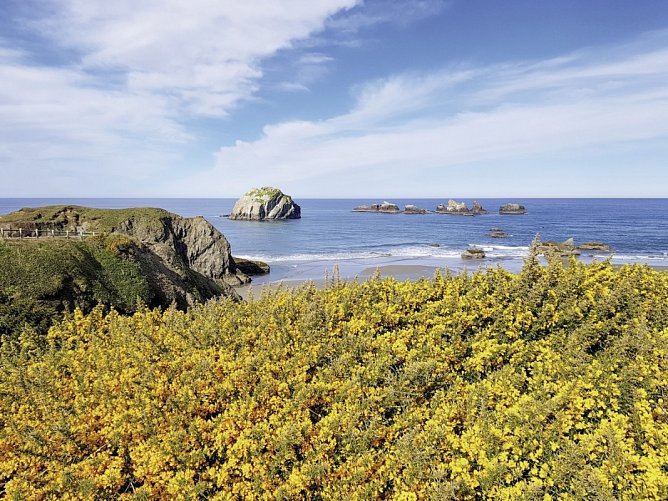 Naturschönheiten der Westküste - Face Rock Scenic View Point, Oregon