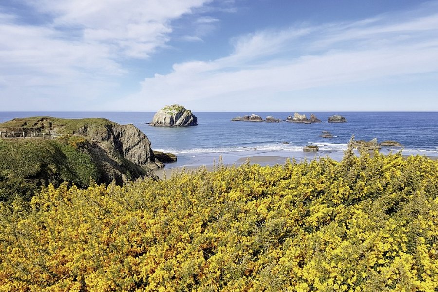 Naturschönheiten der Westküste - Face Rock Scenic View Point, Oregon