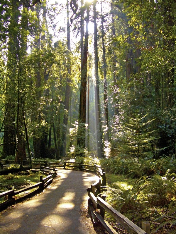 Naturschönheiten der Westküste