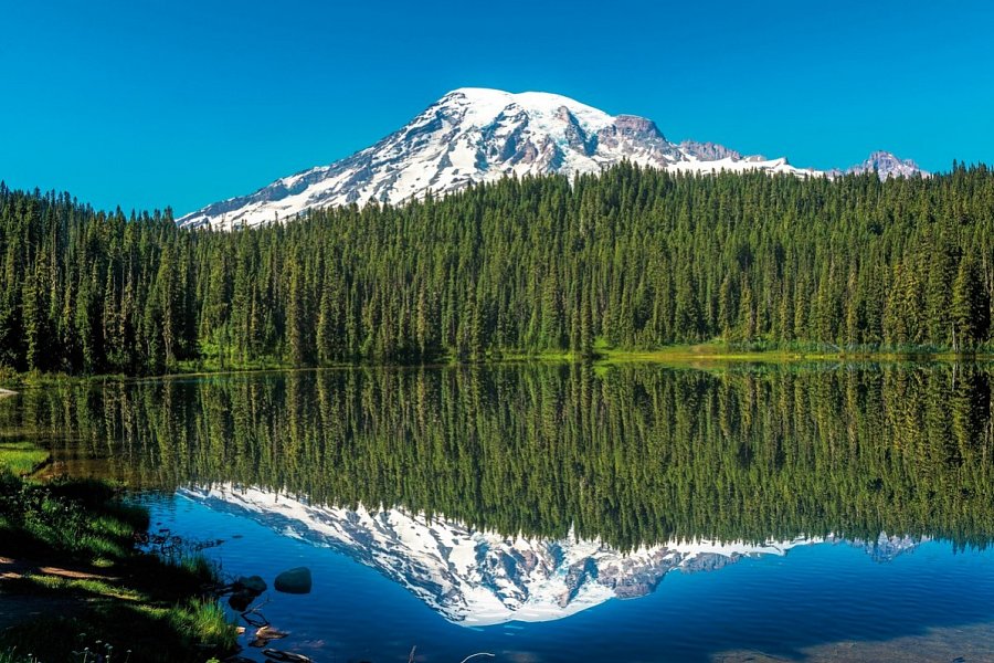 Naturschönheiten der Westküste - Mount Rainier