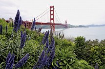 Naturschönheiten der Westküste - Golden Gate Bridge