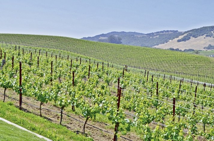 Naturschönheiten der Westküste - Sonoma Valley