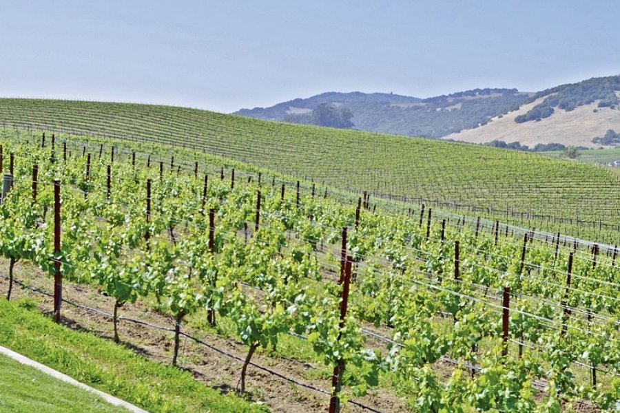 Naturschönheiten der Westküste - Sonoma Valley