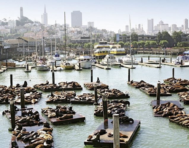 Naturschönheiten der Westküste - Fisherman's Wharf, San Francisco