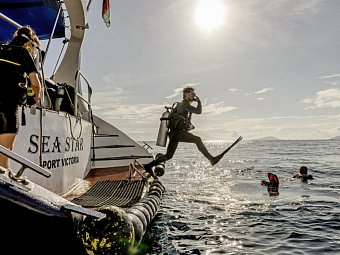 Segeltörn durchs Paradies - S.Y. Sea Star/S.Y. Sea Bird - SY Sea Star