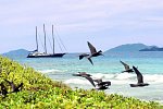 Segeltörn durchs Paradies - S.Y. Sea Star/S.Y. Sea Bird