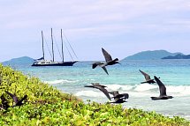 Segeltörn durchs Paradies - S.Y. Sea Star/S.Y. Sea Bird - SY Sea Star