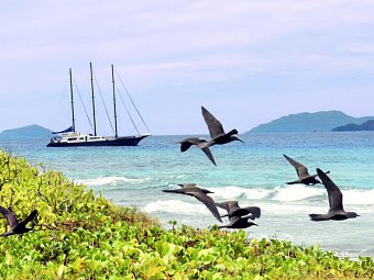 Segeltörn durchs Paradies - S.Y. Sea Star/S.Y. Sea Bird - SY Sea Star