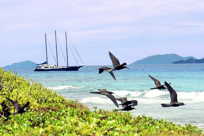 Segeltörn durchs Paradies - S.Y. Sea Star/S.Y. Sea Bird