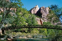 Goldene Brücken & Grandiose Canyons - Zion Nationalpark