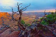 Im aufregenden Westen (21 Nächte) - Canyonlands Nationalpark
