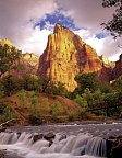 Nationalparks des Westens erwandern (ab San Francisco) - Zion Nationalpark