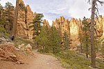 Nationalparks des Westens erwandern (ab San Francisco)