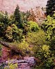 Nationalparks des Westens erwandern (ab San Francisco)