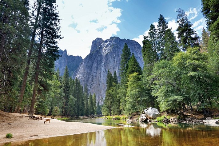 Discover the West