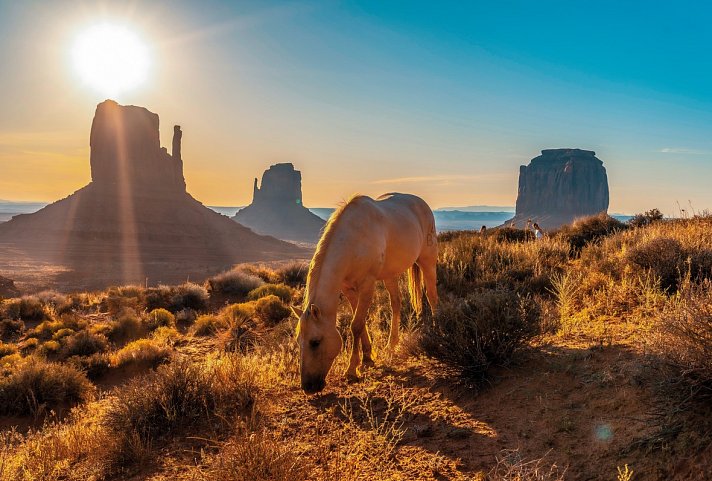 Canyon Explorer (San Francisco - Las Vegas) - Monument Valley