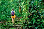 Costa Rica naturnah erwandern