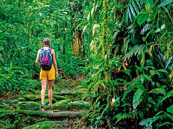 Costa Rica naturnah erwandern