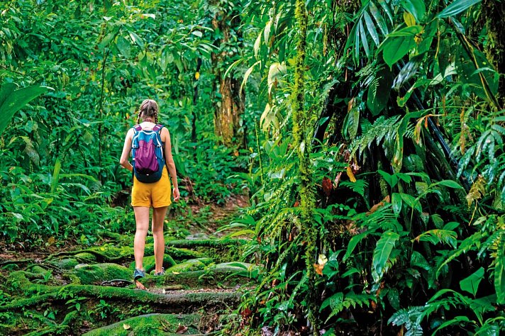 Costa Rica naturnah erwandern