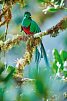 Costa Rica naturnah erwandern