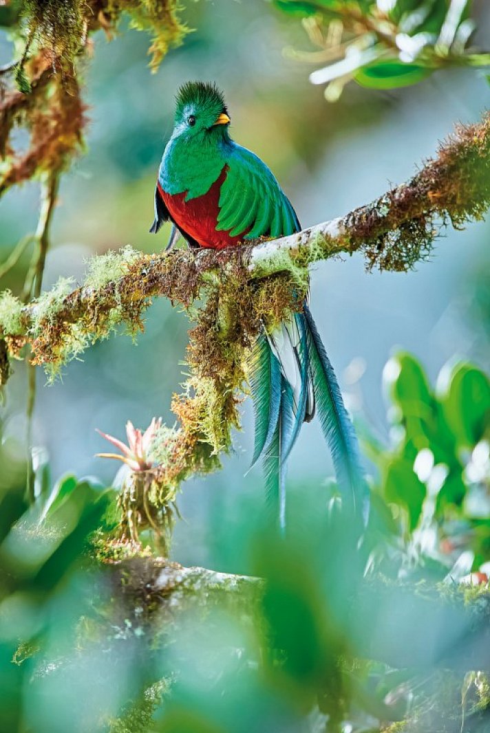 Costa Rica naturnah erwandern