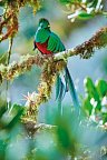 Costa Rica naturnah erwandern
