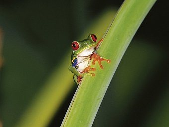 Abenteuer zwischen Vulkan & Regenwald (umgekehrte Richtung)