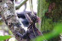 Abenteuer zwischen Vulkan & Regenwald (umgekehrte Richtung)