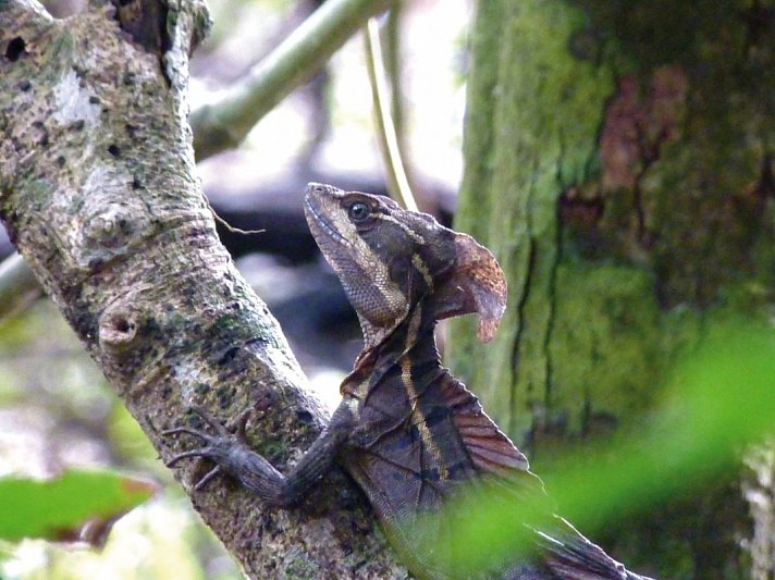 Abenteuer zwischen Vulkan & Regenwald (umgekehrte Richtung)